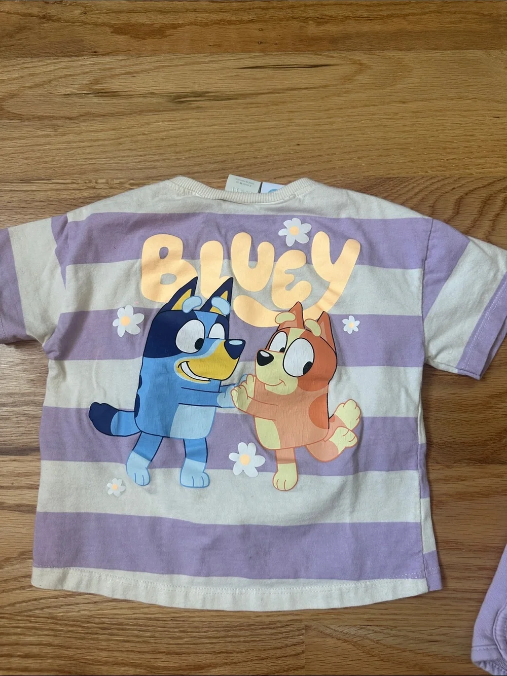 Zara Lavender and Cream Striped Bluey Tee with Lavender Shorts